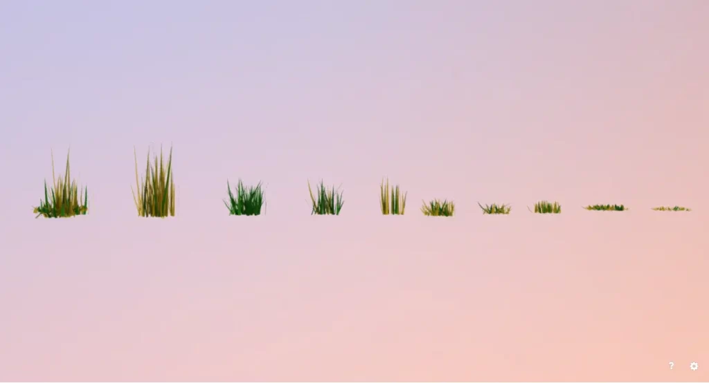 Grass