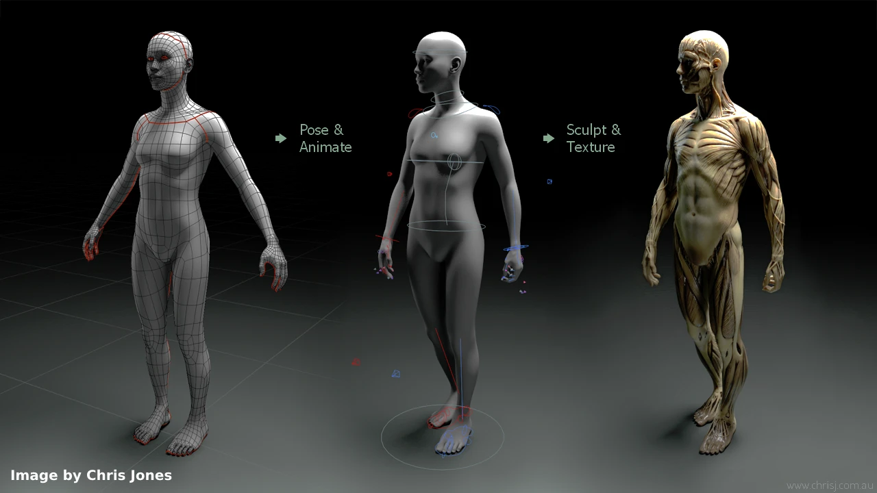 New Project 51 Free Human Rigs